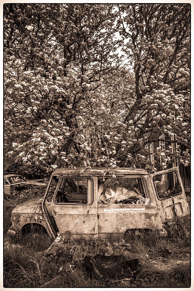 Sweden-Varmland-Bastnas-Bastnas Car Cemetery public park-antique car junkyard art print by Walter Bibikow for $57.95 CAD